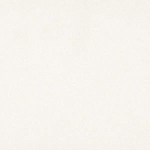 Arctic White