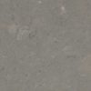 Fossil Gray